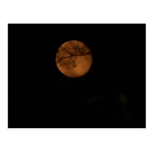 Postcards - Harvest Moon