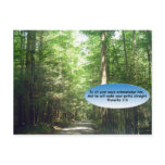 Postcards: Path in Forest