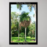 Poster 1 - Fairchild Tropical Garden