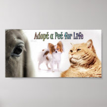 Poster Adopt A Pet For life