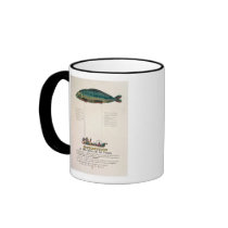 Poster advertising the subscription coffee mug