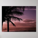 Poster Afternoon Glow Coolangatta Australia posters