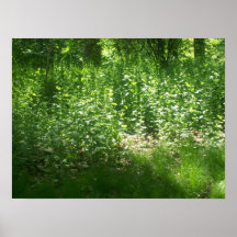 Poster B. Nature