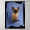 poster_Baby Siamese Kitten posters