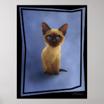 poster_Baby Siamese Kitten
