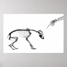 Poster- Bad Dog Xray Skeleton Black White