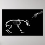 Poster- Bad Dog Xray Skeleton Black White