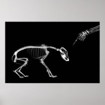 Poster- Bad Dog Xray Skeleton Black White