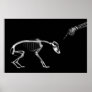 Poster- Bad Dog Xray Skeleton Black White