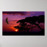 Poster-Beautiful Skies posters