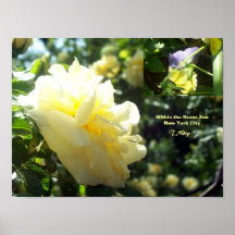 Poster: Bronx Zoo flowers