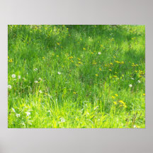 Poster C. lovely grass
