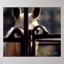 Poster, Change of Perspective, Horse, Farm, Rodeo