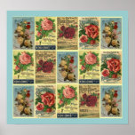POSTER ~DESIGNED FROM VINTAGE ROSE CULTURE GUIDE posters