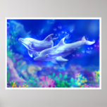 poster_dolphinsA posters