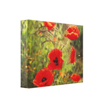 Poster-effect poppies gallery wrap canvas