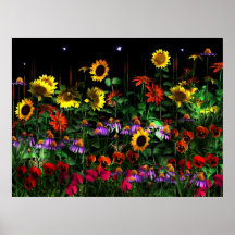 Poster Floral Flowers At Night