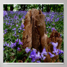 Poster-Flowers-16