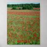 Poster Gotland Sweden posters