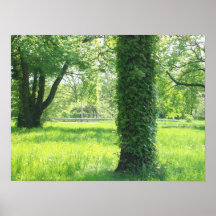 Poster hairy tree upclose
