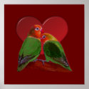 Poster - Lovebirds posters