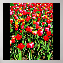 Poster-Modern Boston Photography-39