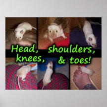 Poster: Mouse Head, Shoulders, Knees, & Toes!