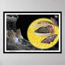 Poster : Nuit de Chat