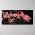 Poster, PINK DOGWOOD #2 posters