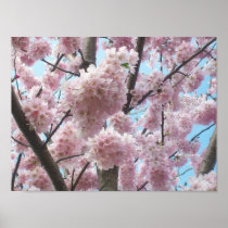 Poster: Pink Flowers