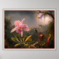 Poster/Print: Cattleya Orchid & Three Hummingbirds