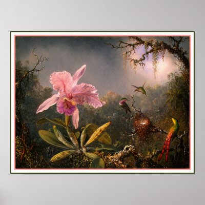 Poster/Print: Cattleya Orchid & Three Hummingbirds