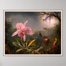 Poster/Print: Cattleya Orchid & Three Hummingbirds
