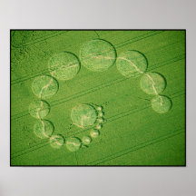 Poster Print:  Crop Circle - Single Julia