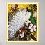 Poster Print: White and Blue Peacock