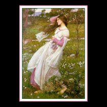 Poster/Print: Windflowers - by John Waterhouse posters