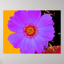 Poster Purple Flower