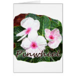 Poster Purple Pinwheel Flowers w text Greeting Cards