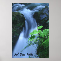 Poster: Sol Duc Falls