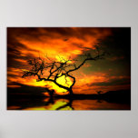 Poster-Sunset-3 posters