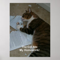 Poster: The Cat Ate My Homework