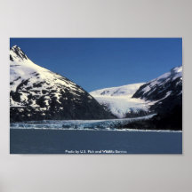 Poster / Tidewater Glacier