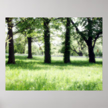 Poster: Trees near Bronx Zoo