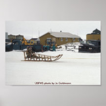 Poster / Woman on Dogsled