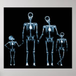 POSTER - X-RAY SKELETON FAMILY BLACK BLUE posters