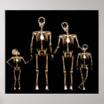 POSTER - X-RAY SKELETON FAMILY BLACK ORANGE posters