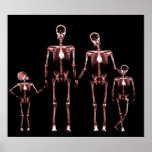 POSTER- X-RAY SKELETON FAMILY BLACK RED posters