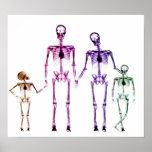 POSTER - X-RAY SKELETON FAMILY WHITE ORIGINAL posters