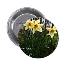 Posterised Daffodils Pins
