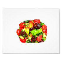 Posterised Hot Pepper Assortment Picture Photographic Print